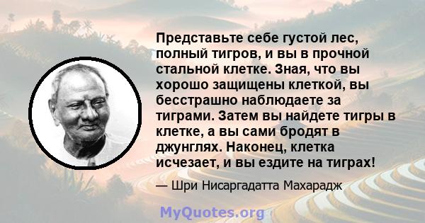 Представьте себе густой лес, полный тигров, и вы в прочной стальной клетке. Зная, что вы хорошо защищены клеткой, вы бесстрашно наблюдаете за тиграми. Затем вы найдете тигры в клетке, а вы сами бродят в джунглях.