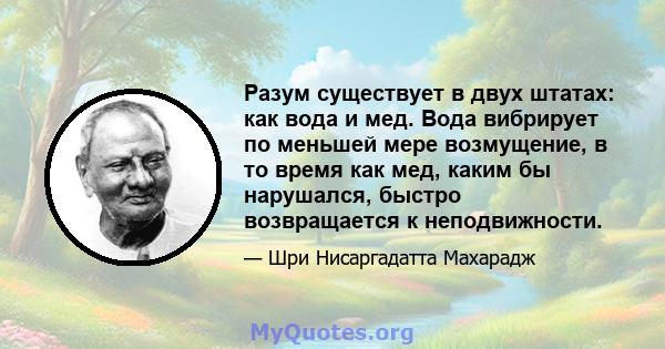 Разум существует в двух штатах: как вода и мед. Вода вибрирует по меньшей мере возмущение, в то время как мед, каким бы нарушался, быстро возвращается к неподвижности.