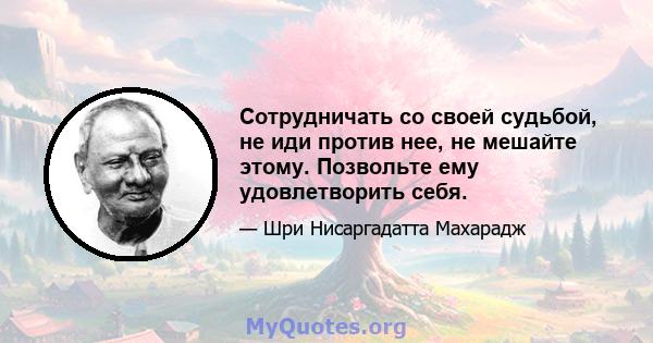 Сотрудничать со своей судьбой, не иди против нее, не мешайте этому. Позвольте ему удовлетворить себя.