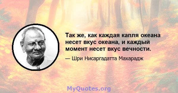 Так же, как каждая капля океана несет вкус океана, и каждый момент несет вкус вечности.