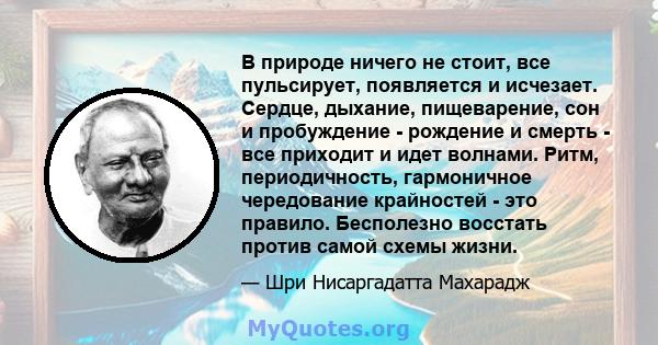 В природе ничего не стоит, все пульсирует, появляется и исчезает. Сердце, дыхание, пищеварение, сон и пробуждение - рождение и смерть - все приходит и идет волнами. Ритм, периодичность, гармоничное чередование