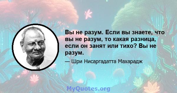 Вы не разум. Если вы знаете, что вы не разум, то какая разница, если он занят или тихо? Вы не разум.