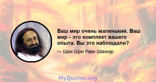 Ваш мир очень маленький. Ваш мир - это комплект вашего опыта. Вы это наблюдали?