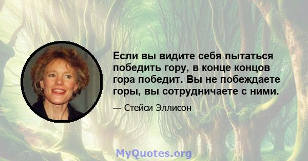 Если вы видите себя пытаться победить гору, в конце концов гора победит. Вы не побеждаете горы, вы сотрудничаете с ними.