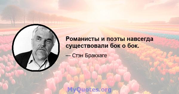 Романисты и поэты навсегда существовали бок о бок.