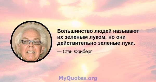 Большинство людей называют их зеленым луком, но они действительно зеленые луки.