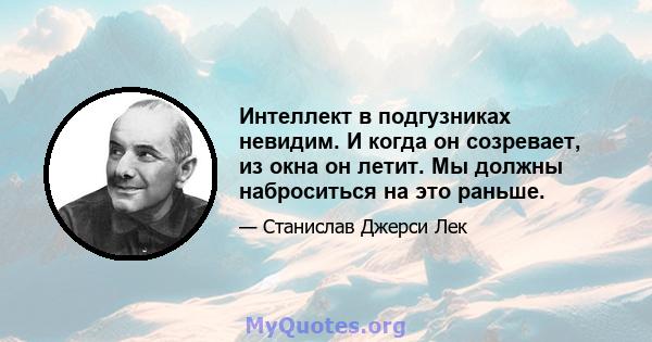 Интеллект в подгузниках невидим. И когда он созревает, из окна он летит. Мы должны наброситься на это раньше.