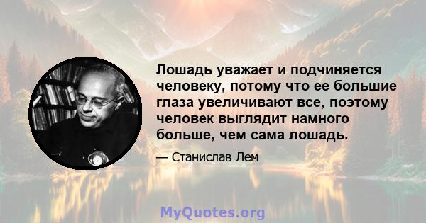 Лошадь уважает и подчиняется человеку, потому что ее большие глаза увеличивают все, поэтому человек выглядит намного больше, чем сама лошадь.