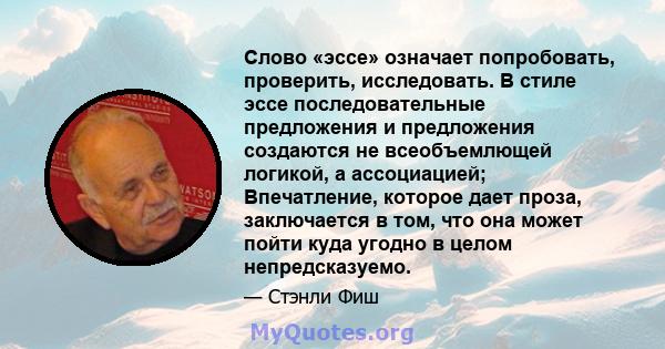 Слово «эссе» означает попробовать, проверить, исследовать. В стиле эссе последовательные предложения и предложения создаются не всеобъемлющей логикой, а ассоциацией; Впечатление, которое дает проза, заключается в том,