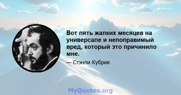 Вот пять жалких месяцев на универсале и непоправимый вред, который это причинило мне.