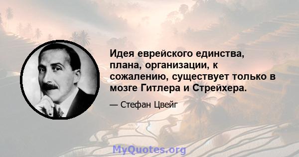 Идея еврейского единства, плана, организации, к сожалению, существует только в мозге Гитлера и Стрейхера.