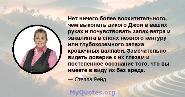 Нет ничего более восхитительного, чем выкопать дикого Джои в ваших руках и почувствовать запах ветра и эвкалипта в слоях нежного кенгуру или глубокоземного запаха крошечных валлаби. Замечательно видеть доверие к их