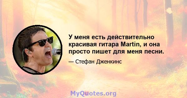 У меня есть действительно красивая гитара Martin, и она просто пишет для меня песни.