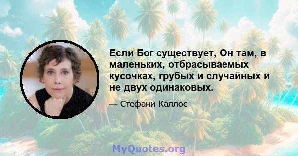 Если Бог существует, Он там, в маленьких, отбрасываемых кусочках, грубых и случайных и не двух одинаковых.