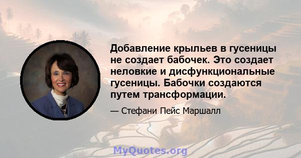 Добавление крыльев в гусеницы не создает бабочек. Это создает неловкие и дисфункциональные гусеницы. Бабочки создаются путем трансформации.