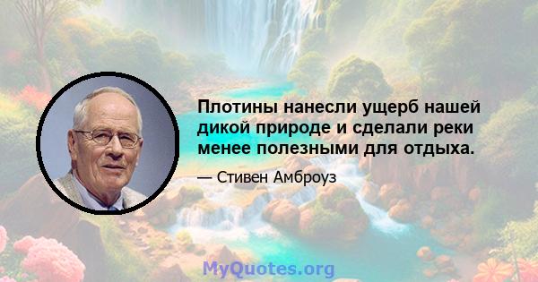 Плотины нанесли ущерб нашей дикой природе и сделали реки менее полезными для отдыха.