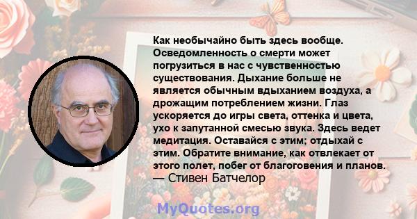 Как необычайно быть здесь вообще. Осведомленность о смерти может погрузиться в нас с чувственностью существования. Дыхание больше не является обычным вдыханием воздуха, а дрожащим потреблением жизни. Глаз ускоряется до