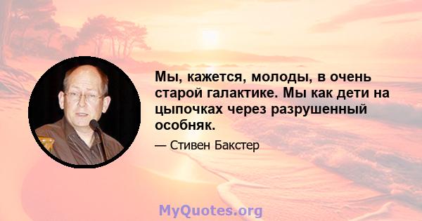 Мы, кажется, молоды, в очень старой галактике. Мы как дети на цыпочках через разрушенный особняк.