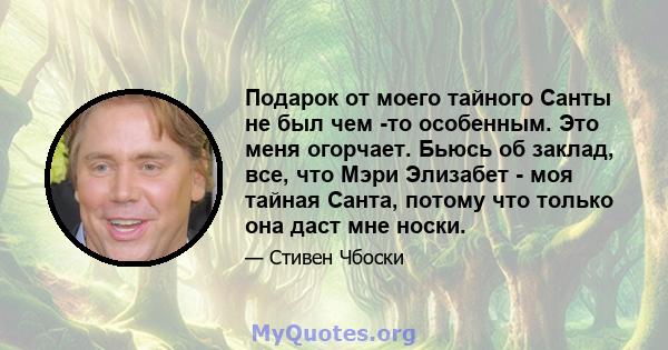 Подарок от моего тайного Санты не был чем -то особенным. Это меня огорчает. Бьюсь об заклад, все, что Мэри Элизабет - моя тайная Санта, потому что только она даст мне носки.