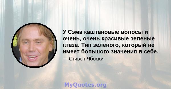 У Сэма каштановые волосы и очень, очень красивые зеленые глаза. Тип зеленого, который не имеет большого значения в себе.