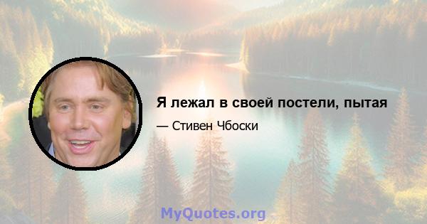 Я лежал в своей постели, пытая