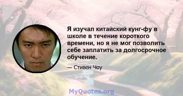 Я изучал китайский кунг-фу в школе в течение короткого времени, но я не мог позволить себе заплатить за долгосрочное обучение.