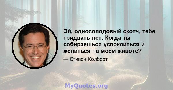 Эй, односолодовый скотч, тебе тридцать лет. Когда ты собираешься успокоиться и жениться на моем животе?