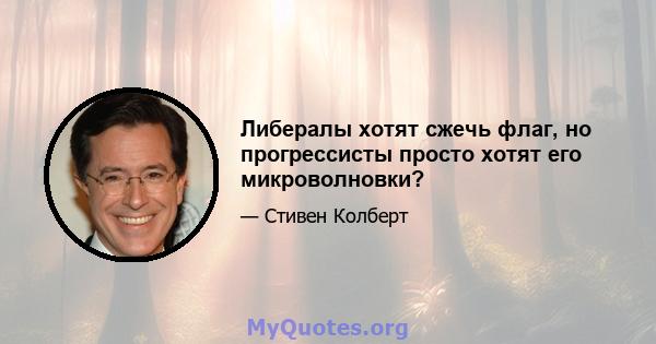 Либералы хотят сжечь флаг, но прогрессисты просто хотят его микроволновки?