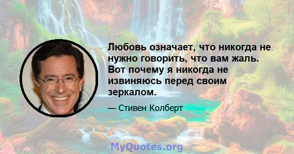 Любовь означает, что никогда не нужно говорить, что вам жаль. Вот почему я никогда не извиняюсь перед своим зеркалом.