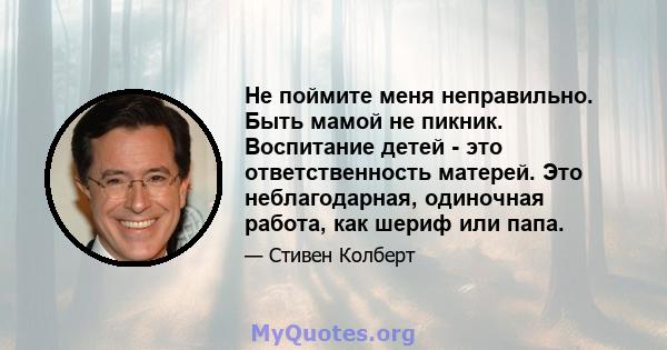 Не поймите меня неправильно. Быть мамой не пикник. Воспитание детей - это ответственность матерей. Это неблагодарная, одиночная работа, как шериф или папа.