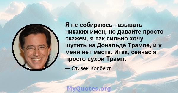 Я не собираюсь называть никаких имен, но давайте просто скажем, я так сильно хочу шутить на Дональде Трампе, и у меня нет места. Итак, сейчас я просто сухой Трамп.