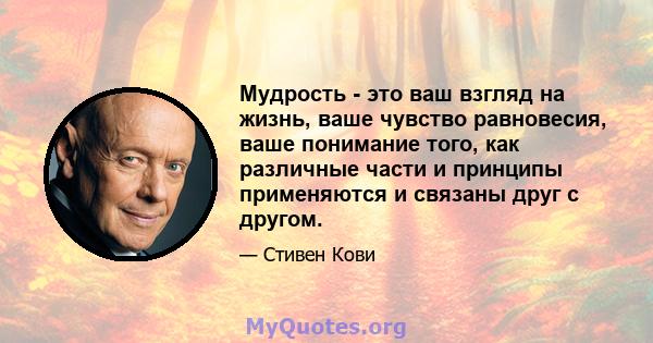 Мудрость - это ваш взгляд на жизнь, ваше чувство равновесия, ваше понимание того, как различные части и принципы применяются и связаны друг с другом.