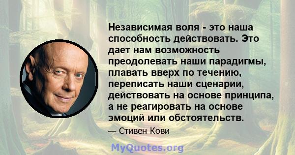 Независимая воля - это наша способность действовать. Это дает нам возможность преодолевать наши парадигмы, плавать вверх по течению, переписать наши сценарии, действовать на основе принципа, а не реагировать на основе