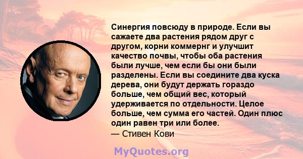 Синергия повсюду в природе. Если вы сажаете два растения рядом друг с другом, корни коммернг и улучшит качество почвы, чтобы оба растения были лучше, чем если бы они были разделены. Если вы соедините два куска дерева,