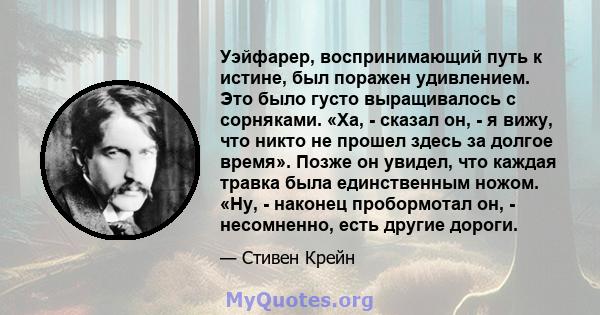 Уэйфарер, воспринимающий путь к истине, был поражен удивлением. Это было густо выращивалось с сорняками. «Ха, - сказал он, - я вижу, что никто не прошел здесь за долгое время». Позже он увидел, что каждая травка была