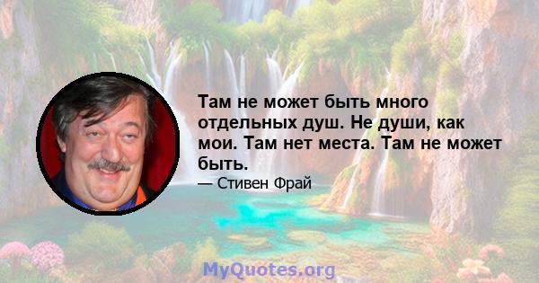 Там не может быть много отдельных душ. Не души, как мои. Там нет места. Там не может быть.