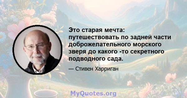 Это старая мечта: путешествовать по задней части доброжелательного морского зверя до какого -то секретного подводного сада.