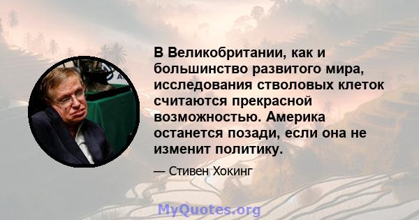 В Великобритании, как и большинство развитого мира, исследования стволовых клеток считаются прекрасной возможностью. Америка останется позади, если она не изменит политику.