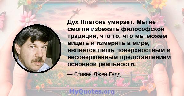 Дух Платона умирает. Мы не смогли избежать философской традиции, что то, что мы можем видеть и измерить в мире, является лишь поверхностным и несовершенным представлением основной реальности.