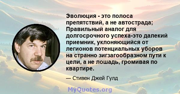 Эволюция - это полоса препятствий, а не автострада; Правильный аналог для долгосрочного успеха-это далекий приемник, уклоняющийся от легионов потенциальных уборов на странно зигзагообразном пути к цели, а не лошадь,