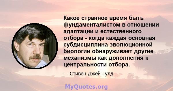 Какое странное время быть фундаменталистом в отношении адаптации и естественного отбора - когда каждая основная субдисциплина эволюционной биологии обнаруживает другие механизмы как дополнения к центральности отбора.