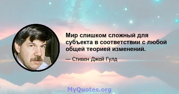 Мир слишком сложный для субъекта в соответствии с любой общей теорией изменений.