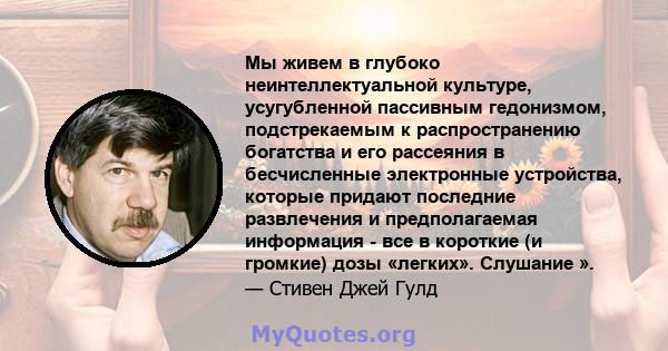 Мы живем в глубоко неинтеллектуальной культуре, усугубленной пассивным гедонизмом, подстрекаемым к распространению богатства и его рассеяния в бесчисленные электронные устройства, которые придают последние развлечения и 