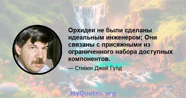 Орхидеи не были сделаны идеальным инженером; Они связаны с присяжными из ограниченного набора доступных компонентов.