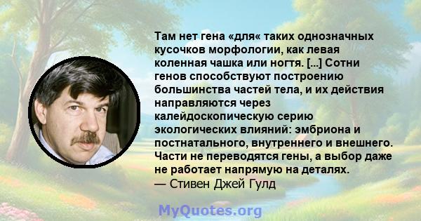 Там нет гена «для« таких однозначных кусочков морфологии, как левая коленная чашка или ногтя. [...] Сотни генов способствуют построению большинства частей тела, и их действия направляются через калейдоскопическую серию