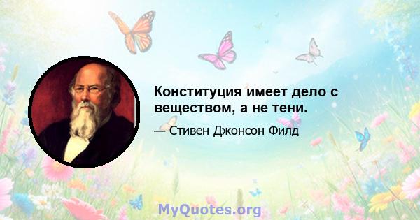 Конституция имеет дело с веществом, а не тени.