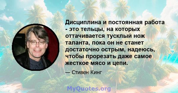 Дисциплина и постоянная работа - это тельцы, на которых оттачивается тусклый нож таланта, пока он не станет достаточно острым, надеюсь, чтобы прорезать даже самое жесткое мясо и цепи.