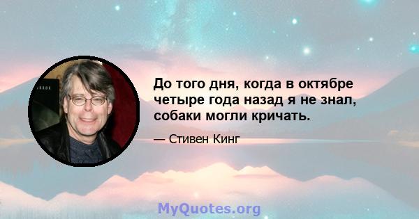 До того дня, когда в октябре четыре года назад я не знал, собаки могли кричать.