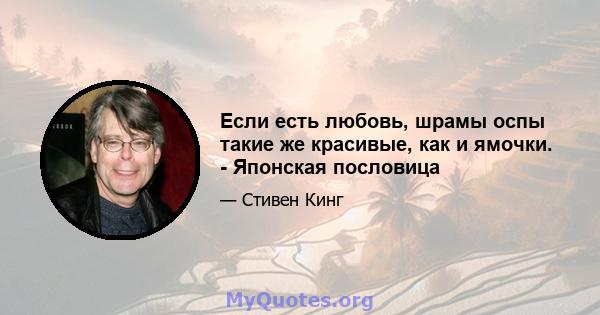 Если есть любовь, шрамы оспы такие же красивые, как и ямочки. - Японская пословица