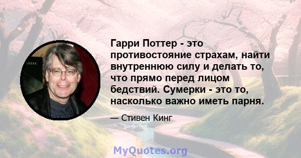 Гарри Поттер - это противостояние страхам, найти внутреннюю силу и делать то, что прямо перед лицом бедствий. Сумерки - это то, насколько важно иметь парня.